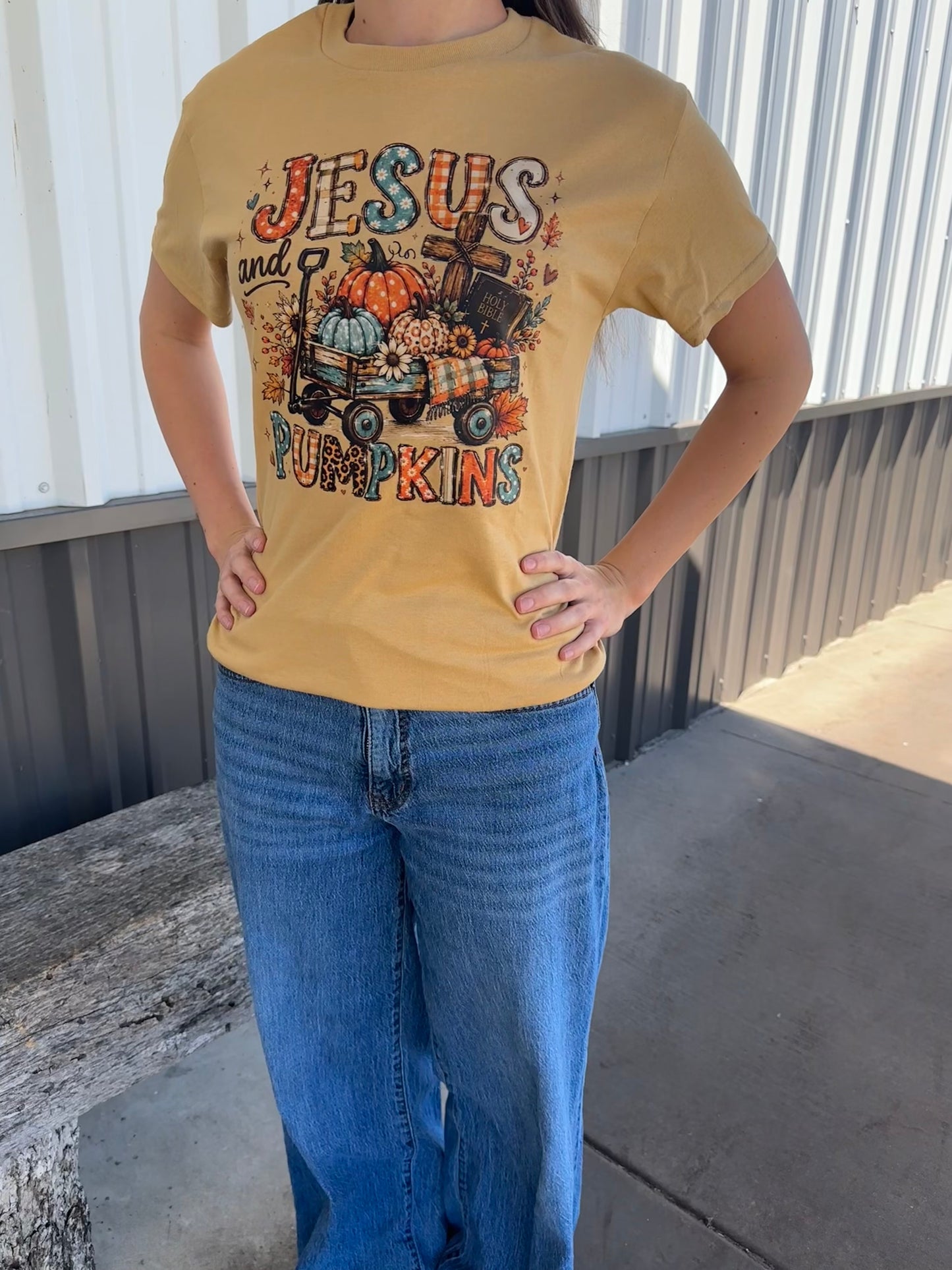 Jesus and Pumpkins T-Shirt