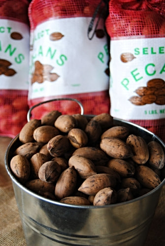 New Crop In-Shell Paper-Shell Pecans (Not Available in CA or AZ)