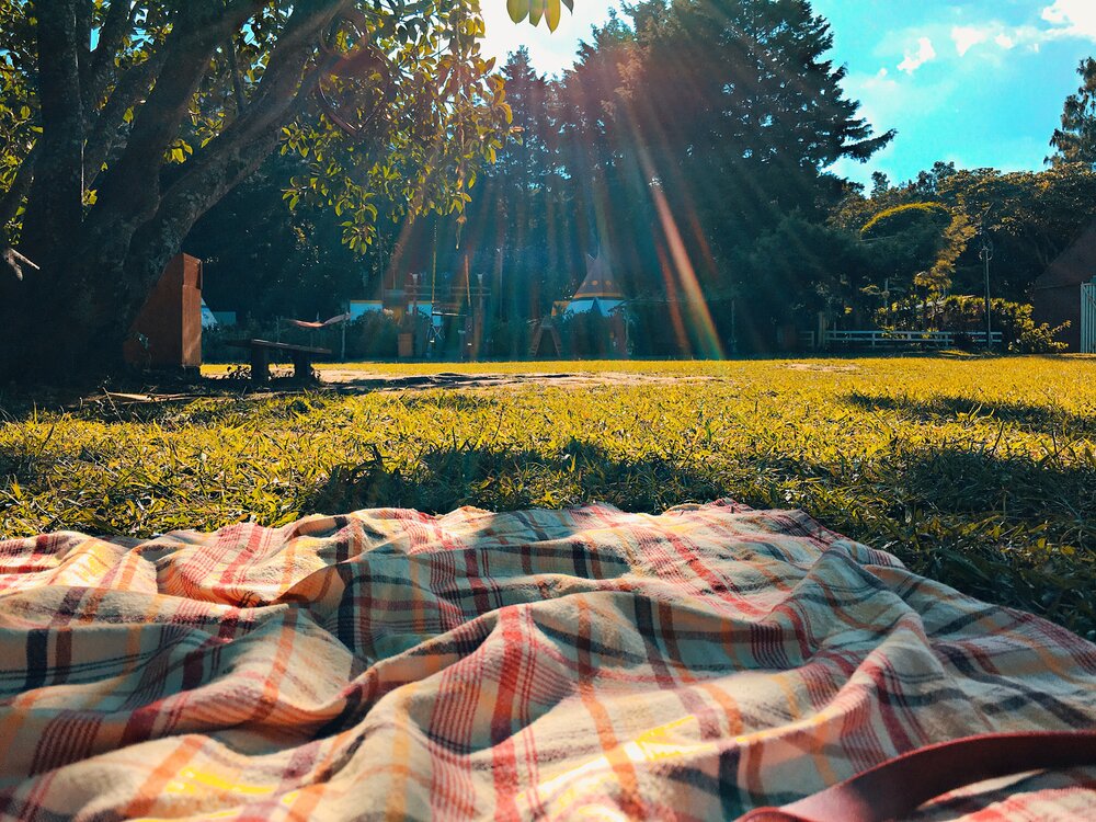 4 Things Needed for a Picture-Perfect Picnic