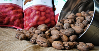 New Crop In-Shell Paper-Shell Pecans (Not Available in CA or AZ)